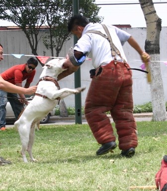 Andale pues, veamos a que sabe tu traje...